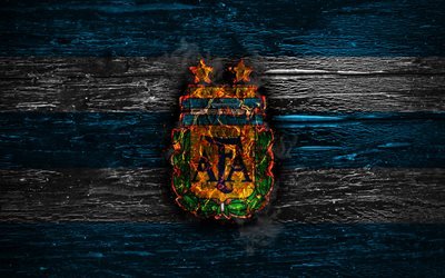 Argentina national football team, fire logo, flag colors, blue and white lines, South America, wooden texture, soccer, Argentina, logo, South American national teams, Argentinean football team