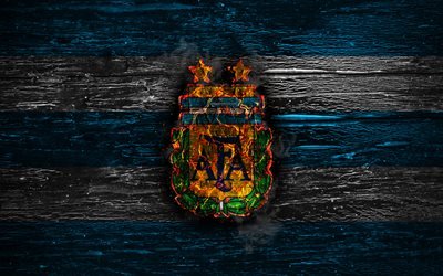 Argentina i fotboll, fire-logotypen, flaggans f&#228;rger, bl&#229; och vita linjer, Sydamerika, tr&#228;-struktur, fotboll, Argentina, logotyp, South American national team, Argentinsk fotboll