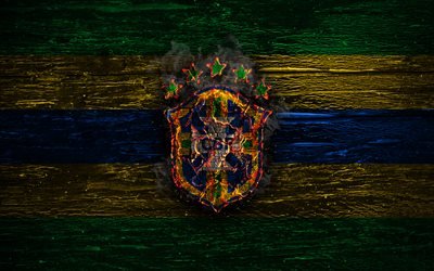 Brazil national football team, fire logo, flag colors, South America, wooden texture, soccer, Brazil, logo, South American national teams, Brazilian football team