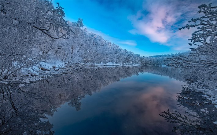フィンランド, 冬, 雪の森, フィンランドの自然, ラップランド, 欧州, 美しい自然