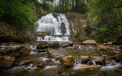 cascada, bosque, r&#237;o, piedras, rocas, Hickory Run State Park, Pennsylvania, estados UNIDOS