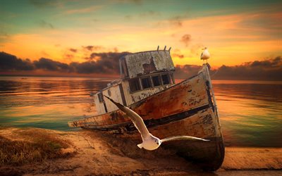 abandonn&#233; bateau, coucher de soleil, les mouettes, plage, bateau de p&#234;che, bateau sur le rivage