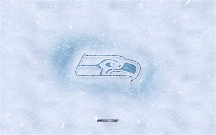 Seattle Seahawks-logo, American football club, talvi k&#228;sitteit&#228;, NFL, Seattle Seahawks ice logo, lumen rakenne, Seattle, Washington, USA, lumi tausta, Seattle Seahawks, Amerikkalainen jalkapallo
