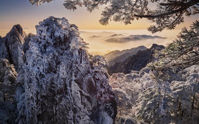 中国, 冬, 雪枝, 美しい自然, 雪松, アジア