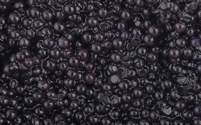 caviar negro, 4k, macro, caviar negro de fondo, el caviar negro textura, fondo negro, caviar de esturi&#243;n