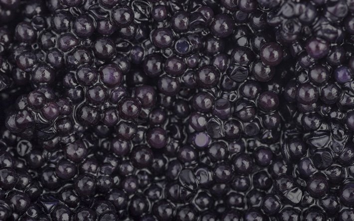 caviar noir, 4k, macro, noir caviar d&#39;arri&#232;re-plan, caviar noir de texture, fond noir, caviar d&#39;esturgeon