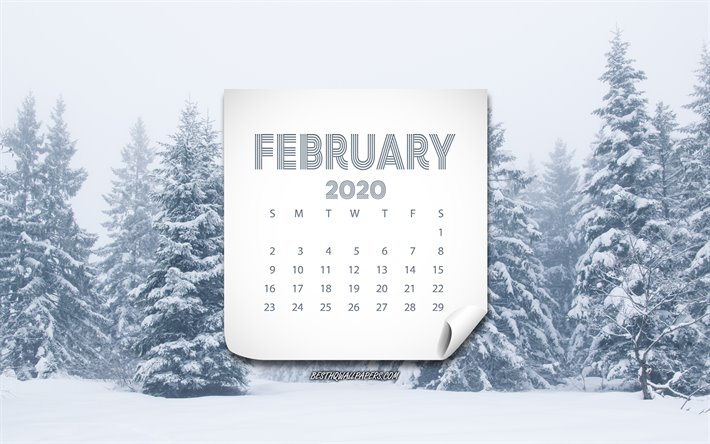 2020 February calendar, winter, snow, February, winter landscape, forest, fog, 2020 calendars, February 2020 calendar