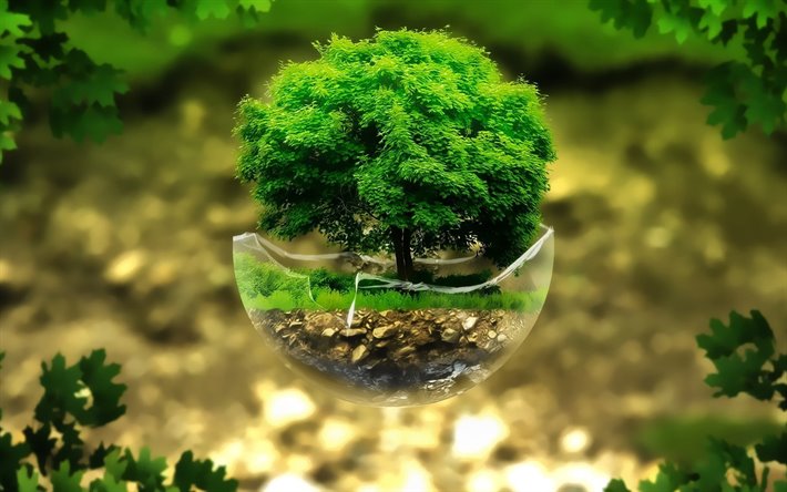 &#225;rvore verde, bola de vidro, ecologia conceitos, bokeh, &#225;rvore na bola, criativo, esfera