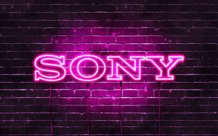 Sony purple logo, 4k, purple brickwall, Sony logo, brands, Sony neon logo, Sony