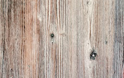 gray wood texture, wood background, wood texture, natural textures