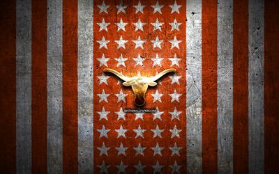 Texas Longhorns flag, NCAA, orange white metal background, american football team, Texas Longhorns logo, USA, american football, golden logo, Texas Longhorns