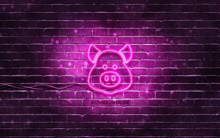 豚のネオンアイコン, 4k, 紫色の背景, ネオン記号, 豚, creative クリエイティブ, ネオンアイコン, 豚のサイン, 動物の兆候, 豚のアイコン, 動物のアイコン
