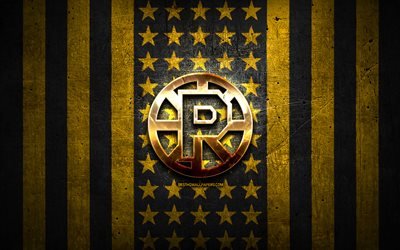 プロビデンスブルーインズ旗, Hurst病, 黄黒の金属の背景, アメリカのホッケーチーム, プロビデンスブルーインズのロゴ, 米国, ホッケー, 黄金のロゴ, プロビデンスブルーインズ