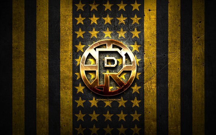 Providence Bruins bandiera, AHL, sfondo giallo metallo nero, squadra di hockey americana, logo Providence Bruins, USA, hockey, logo dorato, Providence Bruins