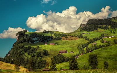 Switzerland, mountain, summer, meadow, HDR