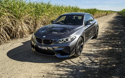 BMW M2 Coupe, 2016, Grey BMW, field road, new M2