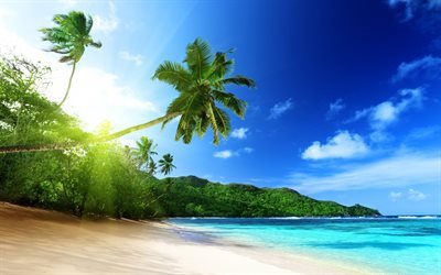 Seychelles Mahe island, la playa, las palmeras, el verano, la isla tropical, viaje a las Seychelles