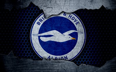 Brighton and Hove Albion FC, 4k, football, Premier League, emblem, logo, football club, Brighton and Hove, UK, metal texture, grunge