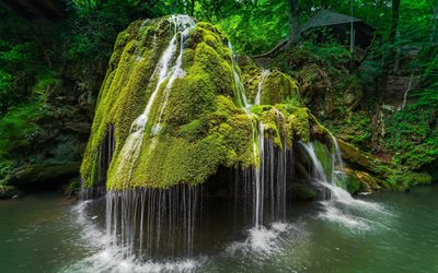 waterfall, forest, moss, stone, river, Bigar, Romania