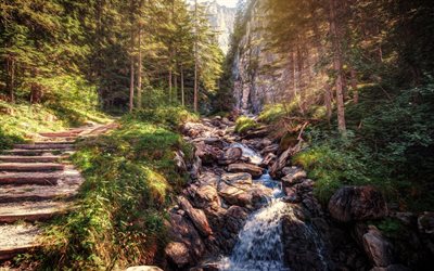 waterfall, mountain stream, forest, mountains, Alps, mountain landscape, autumn, Schattenhalb, Switzerland