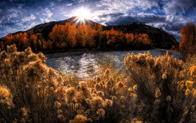 fiume di montagna, autunno, paesaggio di montagna, giallo, alberi, foresta, tramonto, sera