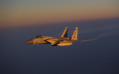 ダネルダグラスF-15イーグル, アメリカの戦闘機, F-15C, 平面の空, 夜, 夕日, 米空軍, 米国