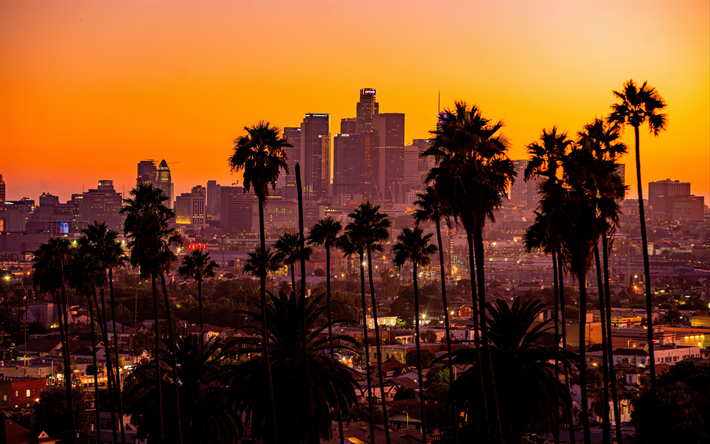 Los Angeles, skyscrapers, LA cityscape, evening, sunset, palm trees, Los Angeles cityscape, California, USA
