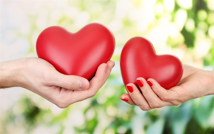 hearts in hands, 4k, love concepts, two hearts, hands, green blurred background