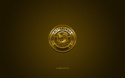 Pittsburgh Riverhounds SC, Amerikan Futbol Kul&#252;b&#252;, USL Şampiyonası, Sarı logo, Sarı karbon fiber arka plan, USL, futbol, Pittsburgh, Pennsylvania, ABD, Pittsburgh Riverhounds logo