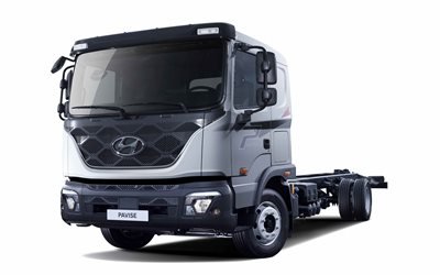 Hyundai Pavise, 2020, front view, exterior, cargo truck, new silver Pavise, South Korean trucks, Hyundai