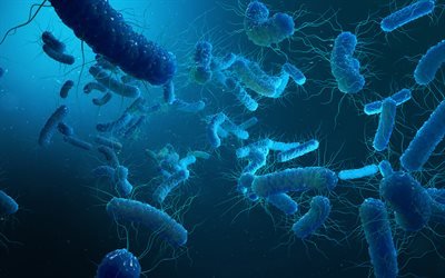 細菌, Tag Type, 3Dアート, 医療の概念, シュードモナスアエルギノーザ, バクテリア