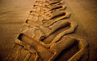 impronta nella sabbia da pneumatici, sabbia bagnata, tracce di automobili, impronta di pneumatici