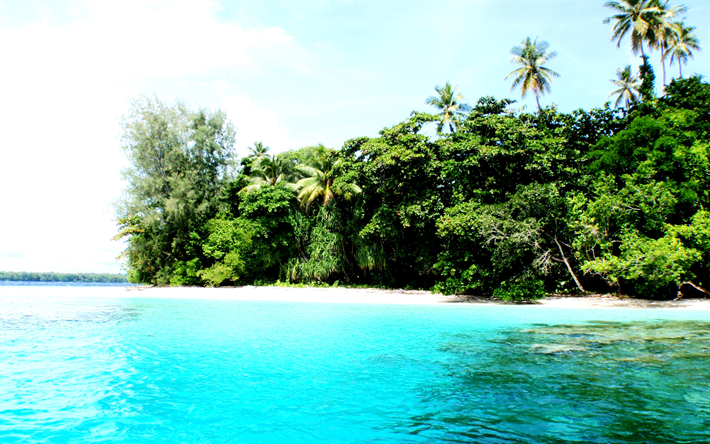 Lissenung Island, 4k, tropik ada, yaz, deniz, plaj, palmiye ağa&#231;ları, Papua Yeni Gine