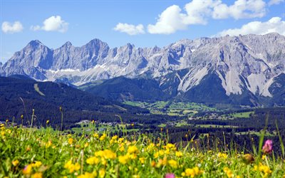 &#193;ustria, 4k, alpine meadows, montanhas, Alpes Austr&#237;acos, ver&#227;o, Europa, Alpes