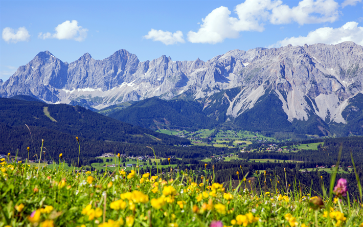Avusturya, 4k, dağ &#231;ayırları, Dağları, Alpler, yaz, Avrupa