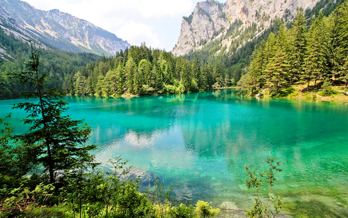 Green Lake, 4k, forest, summer, mountains, Austria, Europe