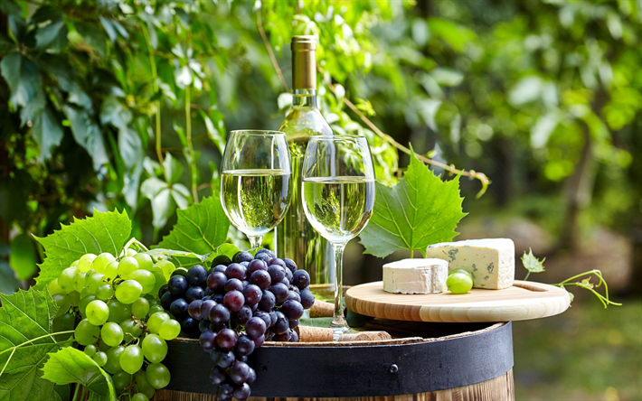 white wine, grapes, wooden barrel, autumn, French cheese