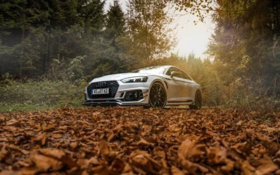 Audi RS5 Coup&#233;, automne, 4k, for&#234;t, 2018 voitures, le tuning, la nouvelle RS5, voitures allemandes, Audi