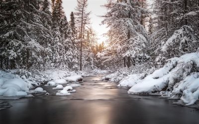 winter, river, forest, snow, sunset, winter landscape