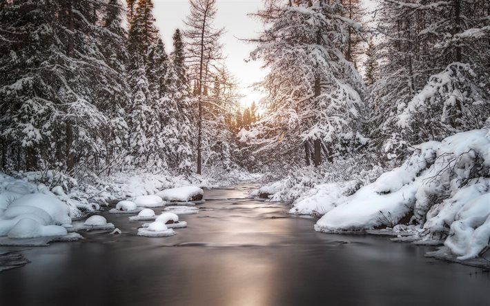 l&#39;hiver, la rivi&#232;re, la for&#234;t, la neige, coucher de soleil, paysage d&#39;hiver