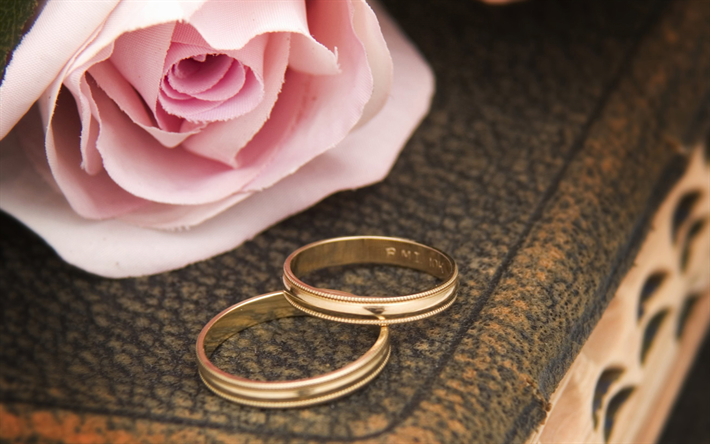 wedding rings, 4k, pink rose, book, wedding concepts