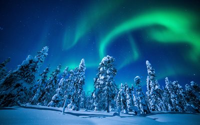 لابلاند, 4k, ليلة, الشتاء, الغابات, الأضواء الشمالية, فنلندا, أوروبا
