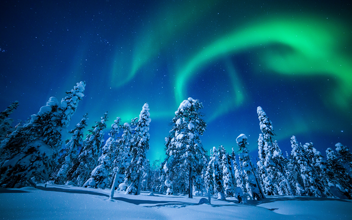 Lapland, 4k, night, winter, forest, northern lights, Finland, Europe