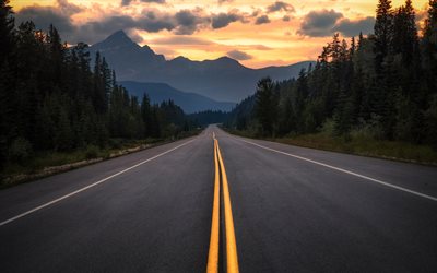 asphalt road, mountain landscape, sunset, forest, Alberta, Canada