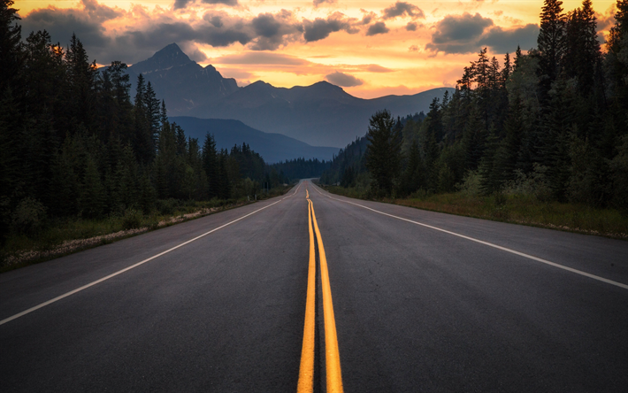 asphalt road, mountain landscape, sunset, forest, Alberta, Canada