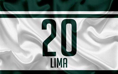 Lucas Lima, T-shirt, Palmiye ağa&#231;ları, 20 sayı, Sao Paulo, Brezilya, futbol, Sociedade Esportiva Palmeiras Serie