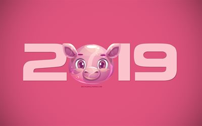 2019 Year, pink background with a piglet, 2019 New Year, 2019 concepts, creative 2019 design, 2019 background with a pig, creative art, Chinese horoscope