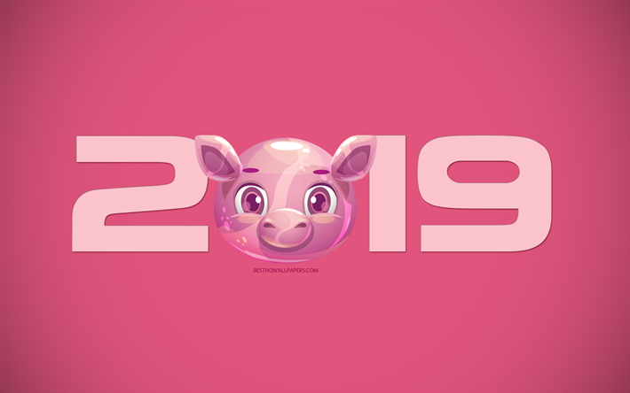 2019 Anno, sfondo rosa con un maialino, 2019 Anno Nuovo, nel 2019, concetti, creativit&#224; 2019 design, 2019 sfondo con un maiale, arte creativa, oroscopo Cinese