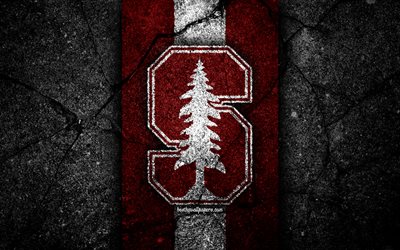Stanford Cardinal, 4k, amerikansk fotbollslag, NCAA, lila vit sten, USA, asfaltstruktur, amerikansk fotboll, Stanford Cardinal-logotyp
