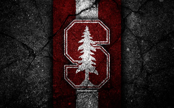 Stanford Cardinal, 4k, amerikan futbol takımı, NCAA, mor beyaz taş, ABD, asfalt doku, amerikan futbolu, Stanford Cardinal logosu